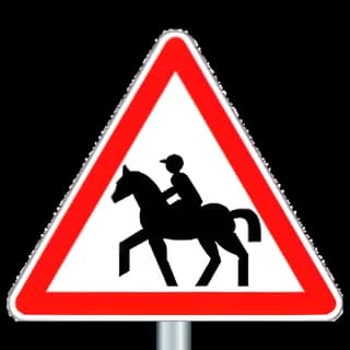 Danger cavaliers